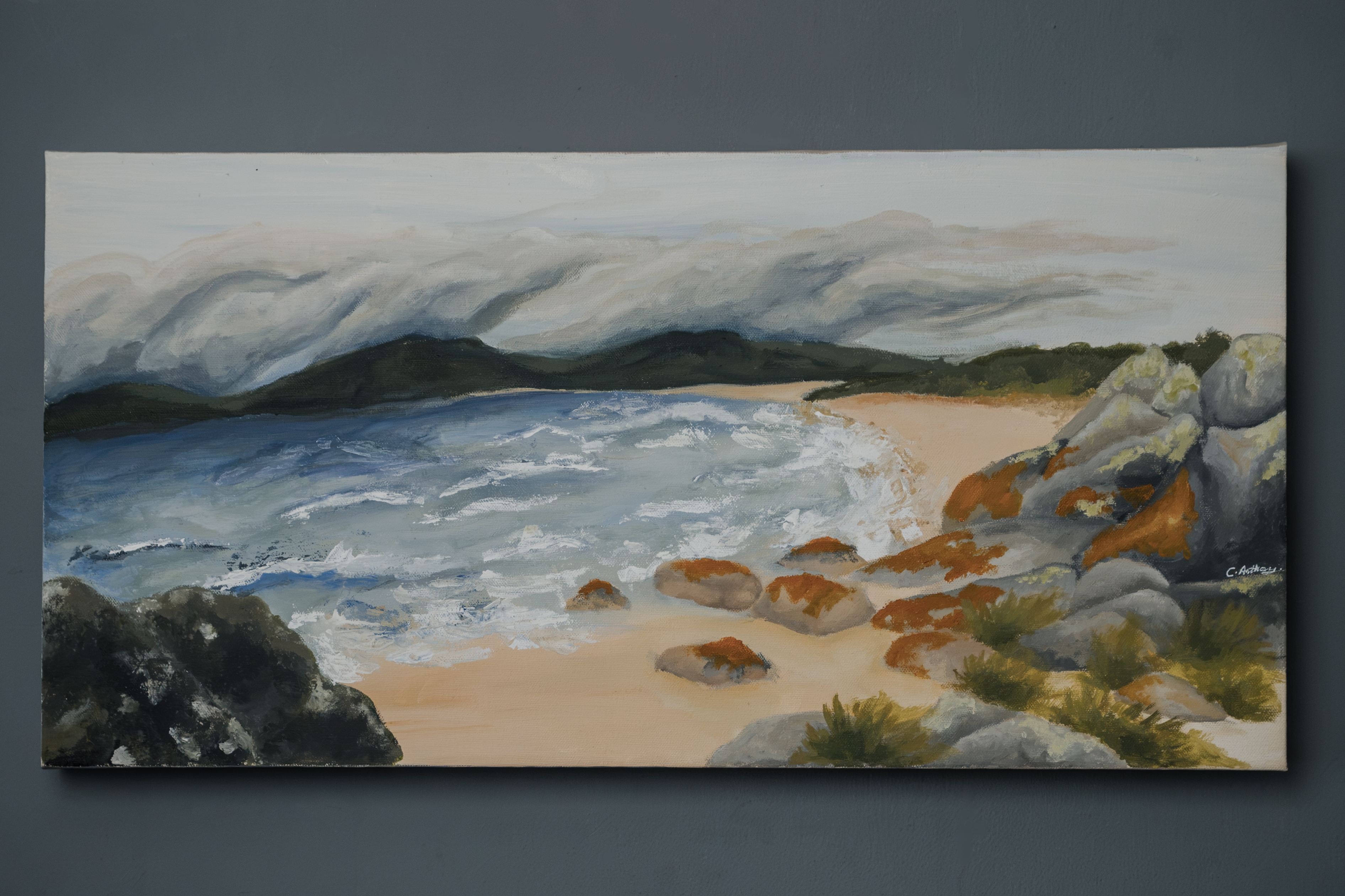 Tasmanian Coast
